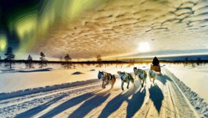 Entdecken Sie das Schlittenhundefahren in Lappland, Finnland. Erleben Sie die beeindruckende Winterlandschaft und die Dynamik der Huskys. Tipps zur Planung, Kosten und Fitnessanforderungen.