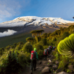 Erfahren Sie alles über die Besteigung des Kilimandscharos, Afrikas höchstem Berg. Entdecken Sie Routen, Vorbereitungstipps und wichtige Hinweise zur Akklimatisierung.