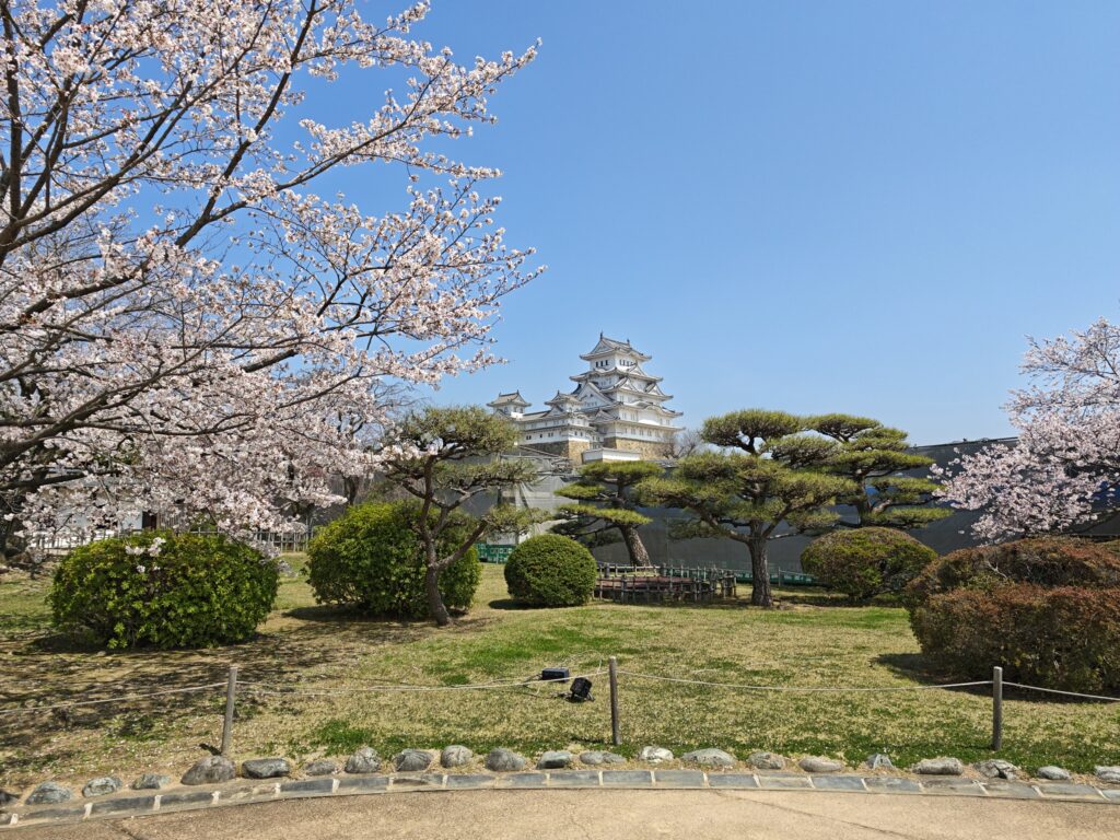Blühende Kirschbäume vor dem Hauptturm der Burg Himeji