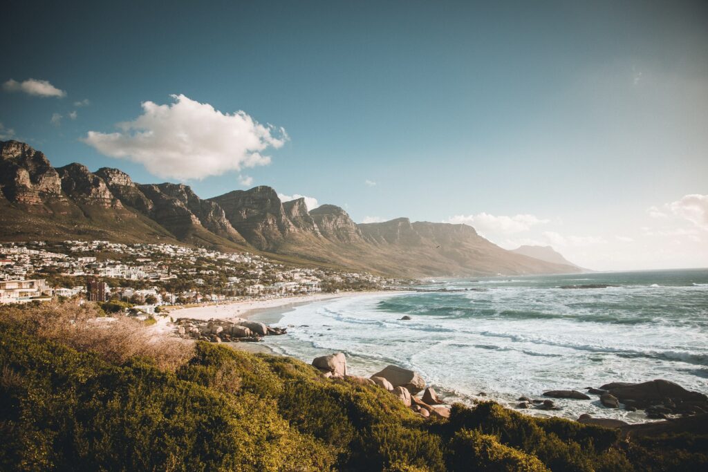 Blick über Fynbos auf die Bucht von Camps Bay in Kapstadt, dahinter die Bergkette der Twelve Apostles