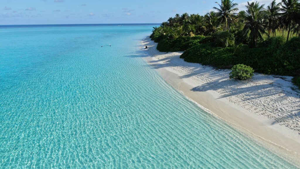 Weißer Sandstrand mit Palmen und türkisem Flachwasser auf der Malediven-Insel Thoddoo, von oben